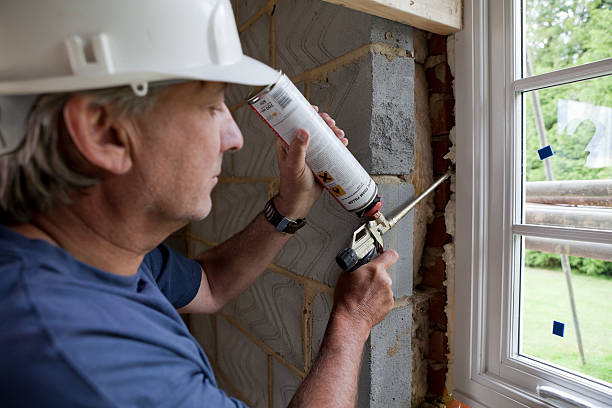 Best Eco-Friendly Insulation in Onalaska, WI
