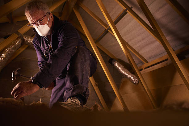 Best Energy Efficiency Insulation in Onalaska, WI